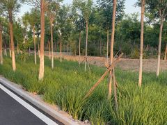 -天津东丽湖风景区