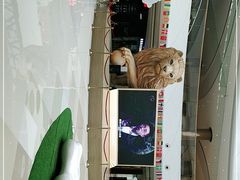 -棕榈MALL