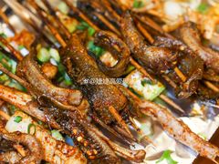 鳝鱼-晓靖轩烧烤(沙河风情店)