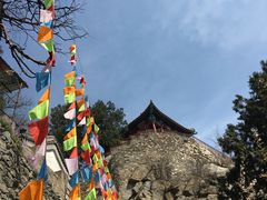 -北京鹫峰国家森林公园