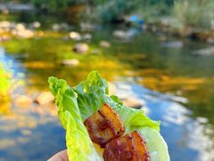 -北仑森林植物园