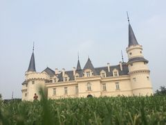 -北京张裕爱斐堡酒庄
