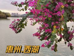 -惠州西湖风景名胜区-丰渚园