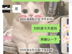 -袖虎·猫馆(体育西路店)