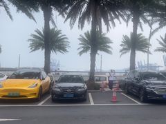 -新金盛·海鲜酒楼(盐田店)