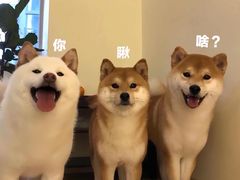 -MRX狼人杀俱乐部(黄浦店)