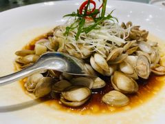 -舜泉海鲜(百官店)