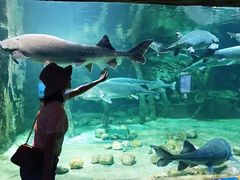 -华夏文旅海洋公园