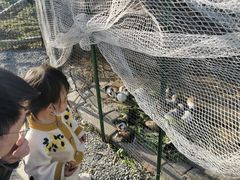 -菊园百果园
