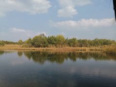 -溱湖国家湿地公园