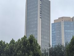 -电谷雅阁国际大酒店