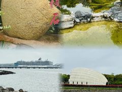 -上海吴淞炮台湾国家湿地公园