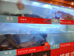 -三江源活鱼现烤(维多利摩尔城店)