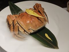 -觀芷隐轩