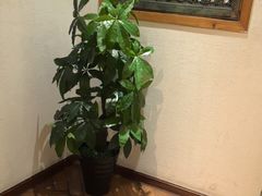 -中国徽菜·徽商故里(广安门店)