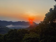 -雁南飞茶田景区