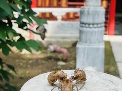 -潭柘寺景区