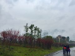 -樱桃山旅游景区
