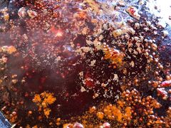 -岗上渣渣老火锅(两路口店)