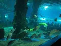 -北戴河圣蓝海洋公园