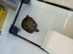 -思诺卡儿童俱乐部(东方广场店)