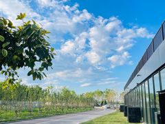 -天津东丽湖风景区