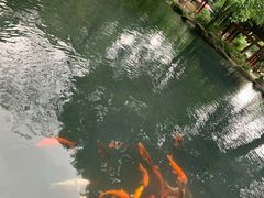 -兰溪地下长河