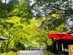 -三千院