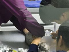 -达爱动物医院·犬猫分区·CT·复杂眼科(远洋山水分院)