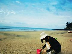 -硇洲岛旅游区