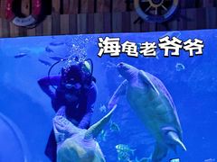 -左海海底世界