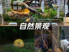 -上海第一八佰伴