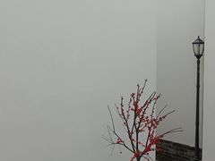 -程十发艺术馆