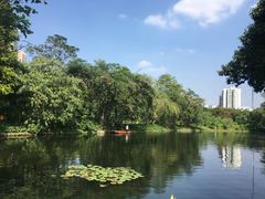 -晓港公园