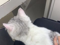 -拜鲁耶动物诊疗中心·宠家动物医院