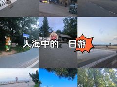 -日照海滨国家森林公园