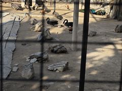 -保定市动物园