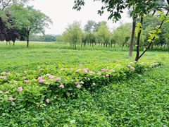 -汉长安城未央宫国家考古遗址公园