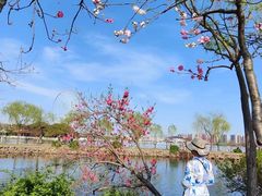 -无锡蠡湖国家湿地公园-蠡园