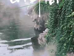 -豫园