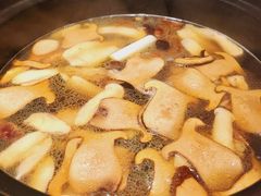 -滇野云南野生菌餐厅(陕西南路店)