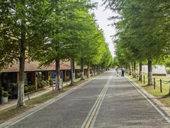 -祝甸砖窑文化馆
