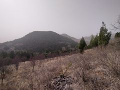 -四门塔风景区