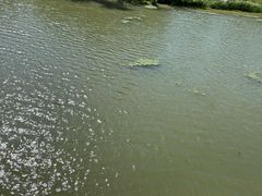 -昆山城市生态森林公园