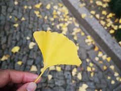 -汇龙潭
