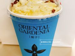 栀子奶白/一朵栀子花-茉莉奶白(北京新中关店)