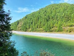 -武陵山森林公园