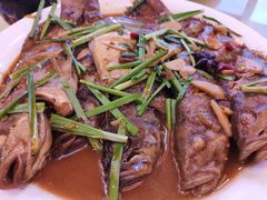 -天隆酒店·本地海鲜鲁菜(烟台大学店)