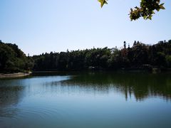 -象山森林公园
