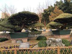 -水绘园